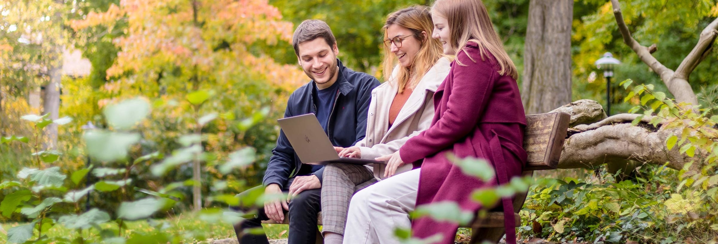 Forschen und lehren an der Hochschule Harz